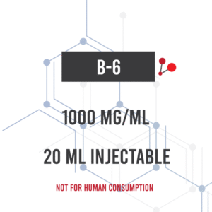 B6 20ML