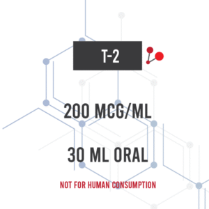 T2