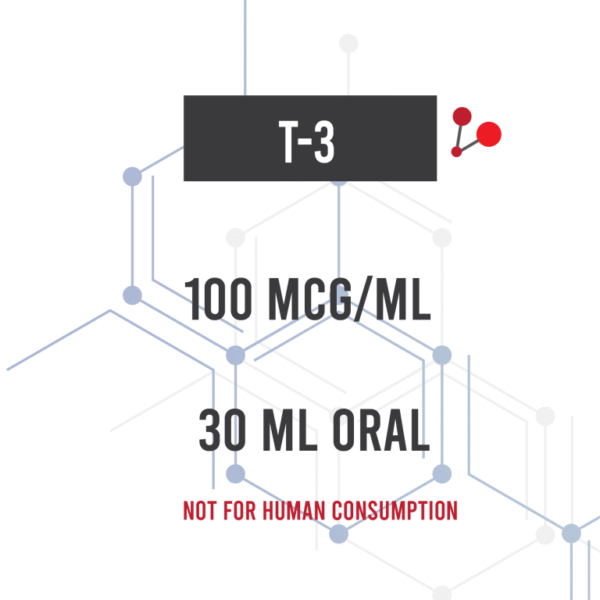 t-3-01